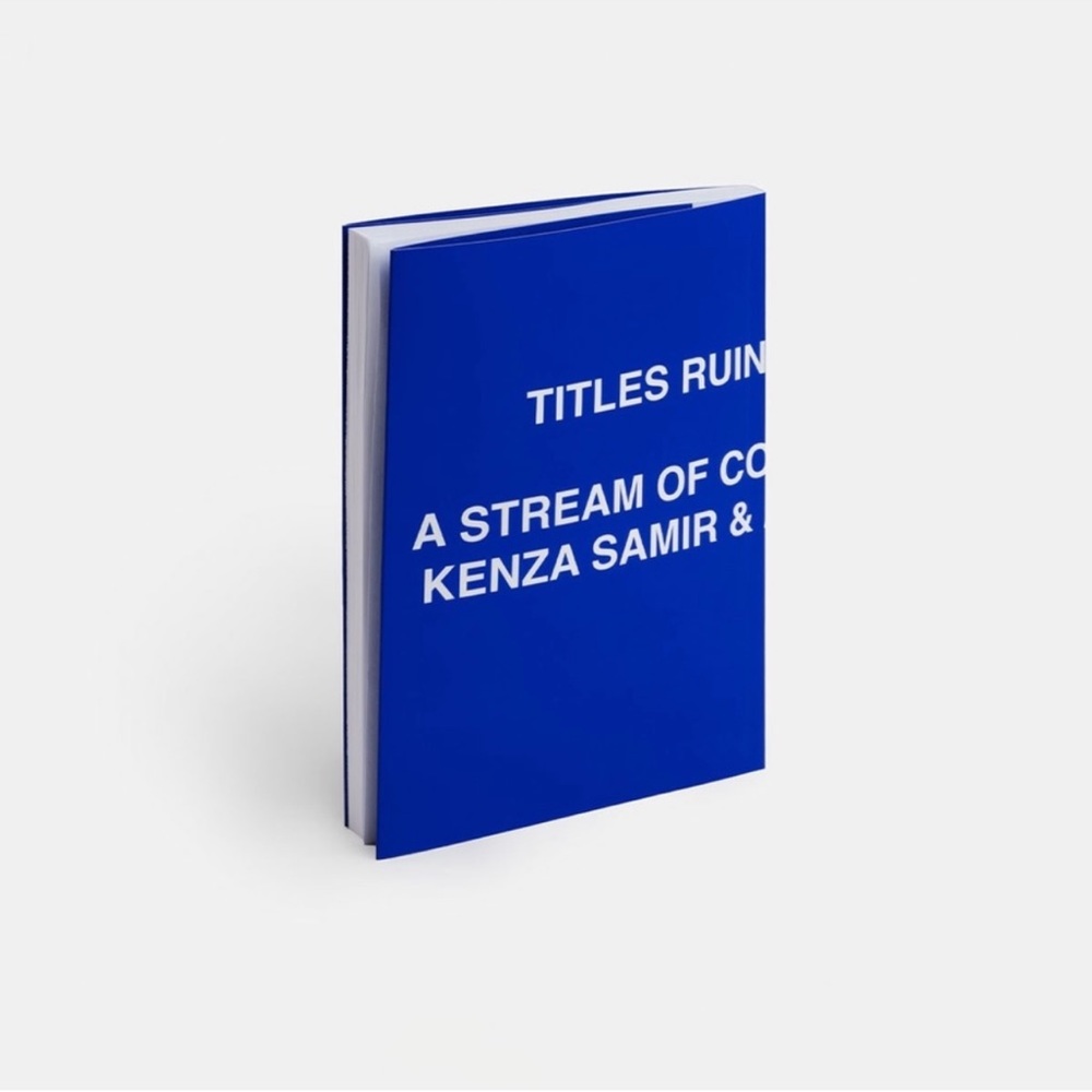 PHAIDON TITLES RUIN EVERYTHING: A STREAM OF CONSCIOUSNESS - Picture 3 of 4